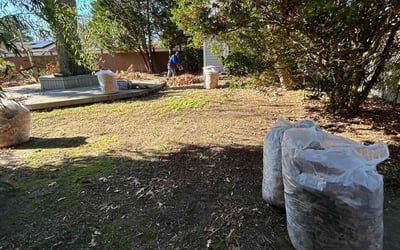 Photo of Susan S.'s yard after getting landscaping in Bohannon, VA