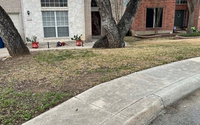 Photo of Brittany K.'s yard after getting tree care in Boerne, TX