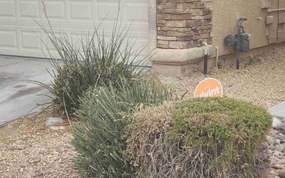Photo of Karen C.'s yard after getting landscaping in Logandale, NV
