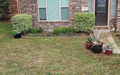 Photo of Kristin D.'s yard after getting landscaping in Celeste, TX