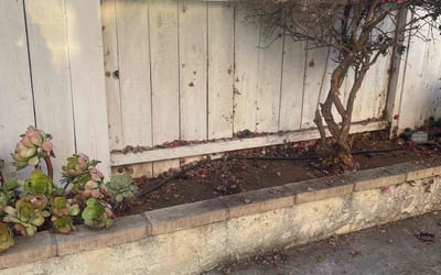 Photo of Elliot H.'s yard after getting landscaping in Cardiff By The Sea, CA