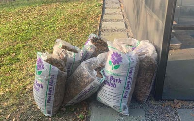 Photo of John B.'s yard after getting landscaping in Clinton, LA