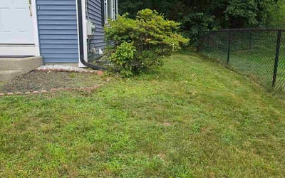 Photo of John S.'s yard after getting landscaping in Holliston, MA