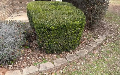Photo of Robert U.'s yard after getting landscaping in Greenville, GA