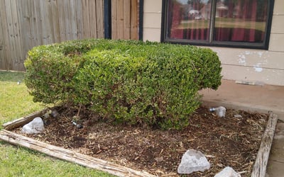Photo of Teresa G.'s yard after getting landscaping in Prague, OK