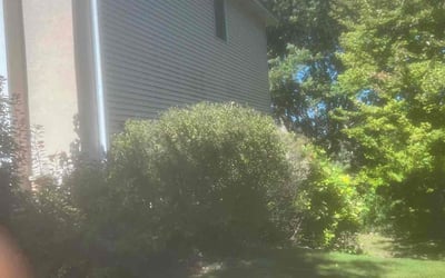 Photo of David L.'s yard after getting landscaping in Hanover, MN