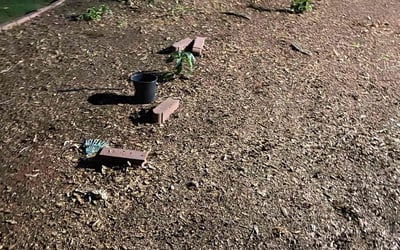 Photo of Cristal L.'s yard after getting tree care in Lithonia, GA