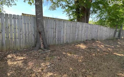 Photo of Karen L.'s yard after getting tree care in Cartersville, GA
