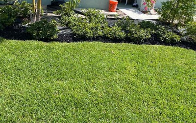 Photo of Rachel M.'s yard after getting landscaping in Crystal Beach, FL