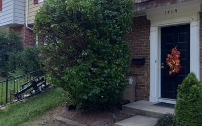 Photo of LARA B.'s yard after getting landscaping in Adamstown, MD