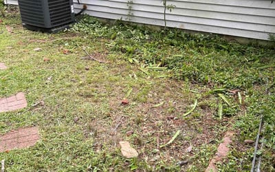 Photo of Steve k.'s yard after getting tree care in New Orleans, LA