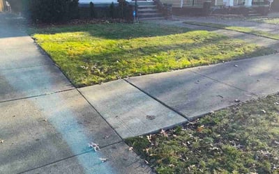 Photo of Sheila M.'s yard after getting landscaping in Burton, OH