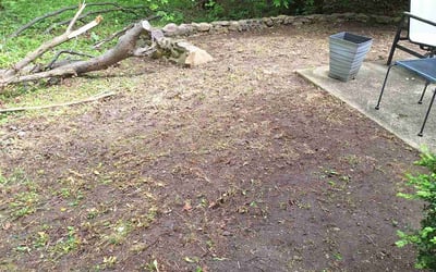 Photo of Jennifer D.'s yard after getting landscaping in Brunswick, OH