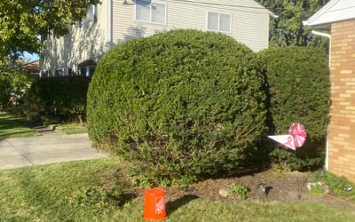 Photo of Joe S.'s yard after getting landscaping in Newbury, OH