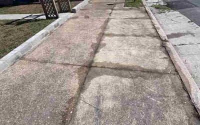 Photo of Ryan G.'s yard after getting landscaping in Hanover, VA