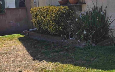 Photo of Debra M.'s yard after getting tree care in Van Nuys, CA