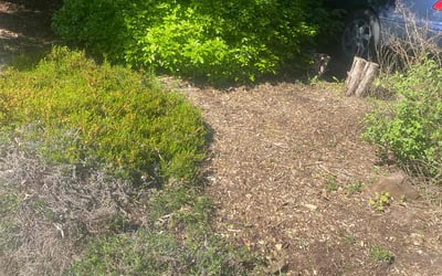Photo of Sunny N.'s yard after getting landscaping in Preston, WA