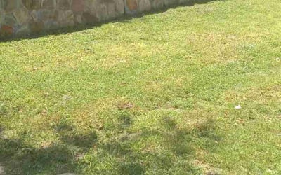 Photo of Kathryn M.'s yard after getting landscaping in Decatur, TX