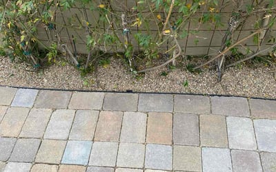 Photo of Ravi G.'s yard after getting tree care in Tempe, AZ