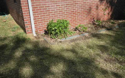 Photo of Michele S.'s yard after getting landscaping in Union Grove, NC