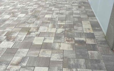 Photo of Kristy S.'s yard after getting tree care in Wimauma, FL