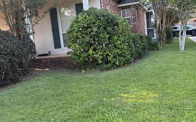 Photo of Jessica S.'s yard after getting landscaping in Holden, LA
