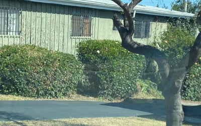 Photo of Eric J.'s yard after getting landscaping in Los Angeles, CA