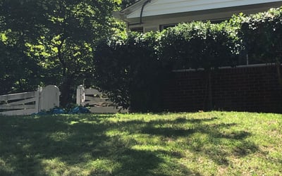 Photo of Richard G.'s yard after getting landscaping in Newburg, MD