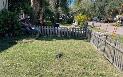 Photo of William S.'s yard after getting landscaping in Ozona, FL