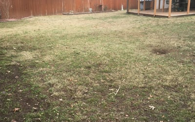 Photo of Michael M.'s yard after getting landscaping in Claremore, OK