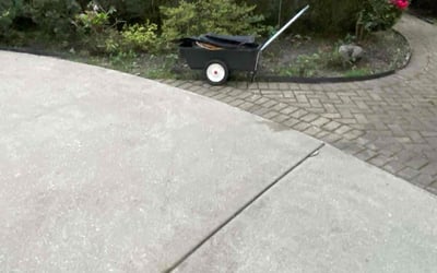 Photo of Amelie P.'s yard after getting landscaping in Glenview, IL