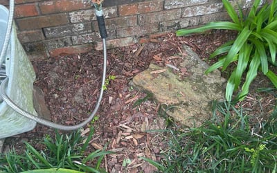 Photo of Rebecca W.'s yard after getting landscaping in Foley, AL