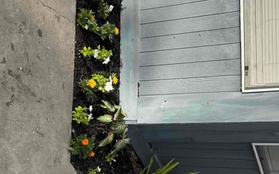 Photo of Jennifer H.'s yard after getting landscaping in Corpus Christi, TX