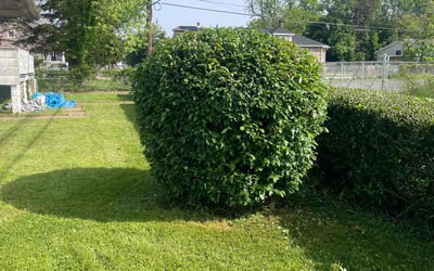 Photo of Kim P.'s yard after getting landscaping in Harwood, MD