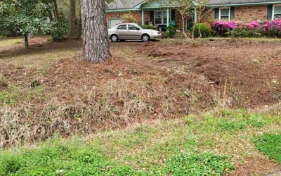 Photo of John W.'s yard after getting landscaping in Ravenel, SC