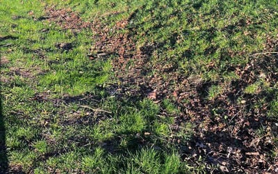 Photo of Rob D.'s yard after getting landscaping in Granite Falls, WA