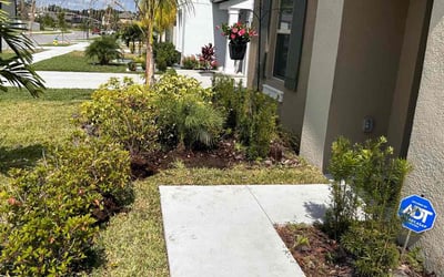 Photo of Drusilla W.'s yard after getting landscaping in Crystal Beach, FL