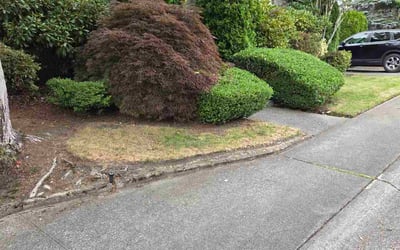 Photo of Diane M.'s yard after getting landscaping in Mill Creek, WA