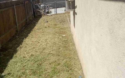 Photo of Shannon G.'s yard after getting landscaping in Sun City, CA