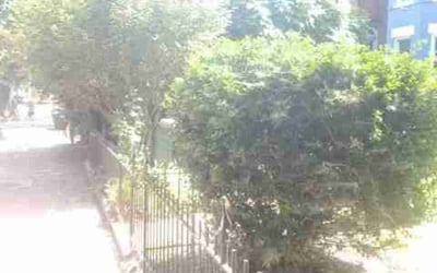 Photo of Jacob M.'s yard after getting landscaping in Amissville, VA