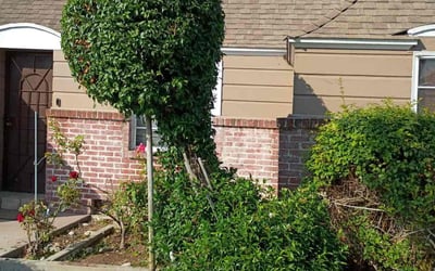 Photo of Deanna A.'s yard after getting landscaping in North Hollywood, CA