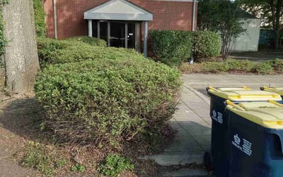 Photo of John G.'s yard after getting tree care in Dallas, NC