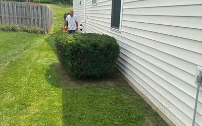 Photo of Matthew S.'s yard after getting landscaping in Noblesville, IN