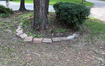 Photo of Steven H.'s yard after getting landscaping in Needville, TX