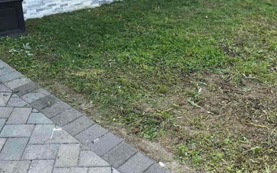 Photo of Jennifer L.'s yard after getting landscaping in East Quogue, NY