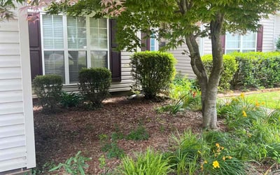 Photo of Frances A.'s yard after getting landscaping in Concord, NC