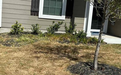 Photo of Beth W.'s yard after getting landscaping in Poteet, TX