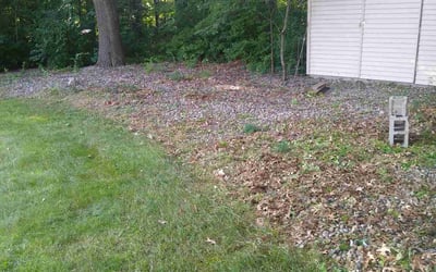 Photo of Stephanie S.'s yard after getting tree care in Clinton, MI