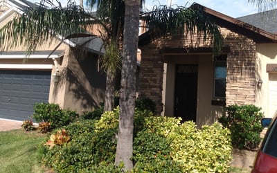 Photo of David M.'s yard after getting landscaping in Balm, FL
