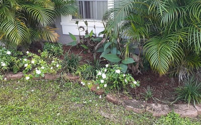 Photo of Richard G.'s yard after getting landscaping in Eaton Park, FL
